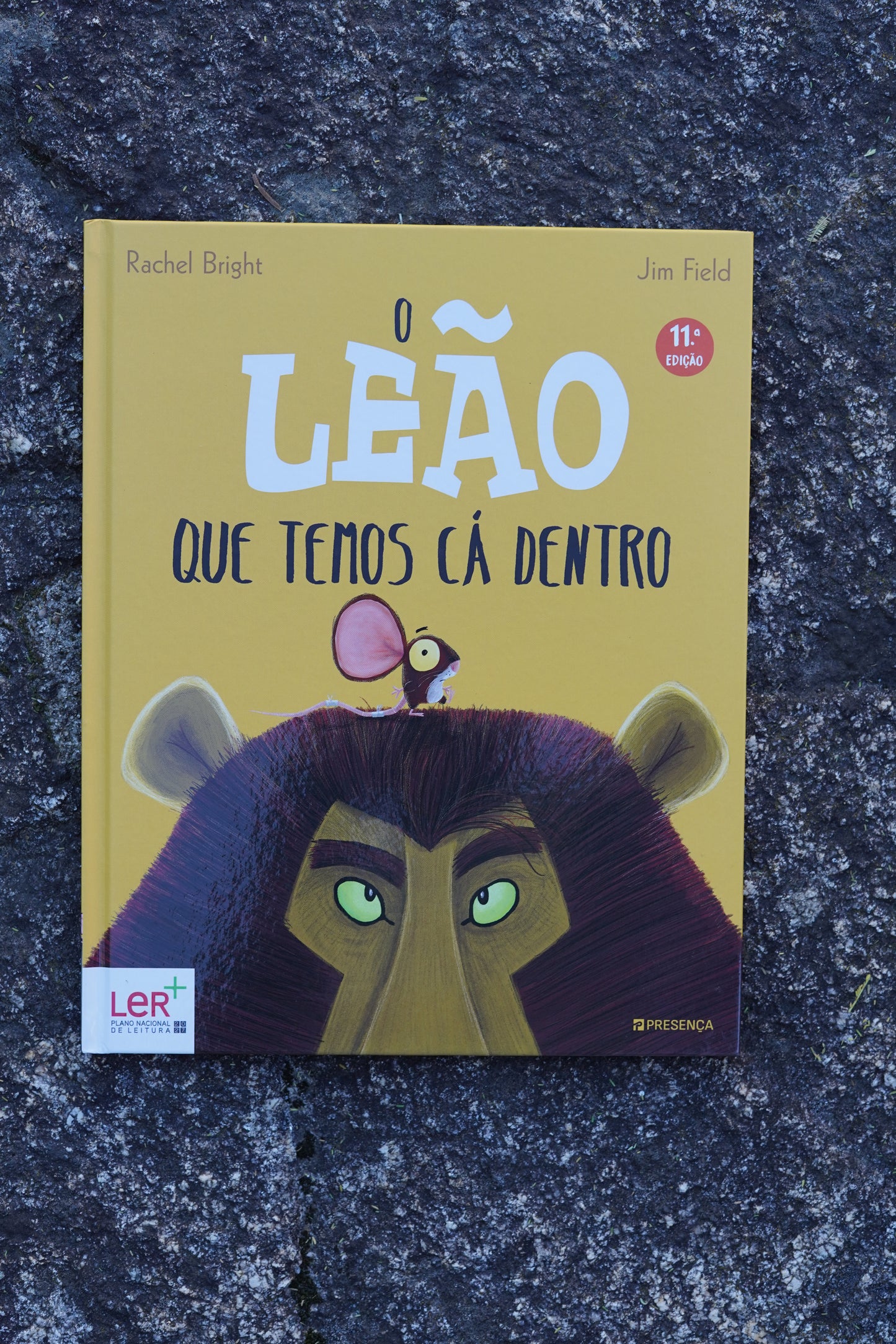 Livro "O Leão Que Temos Cá Dentro"